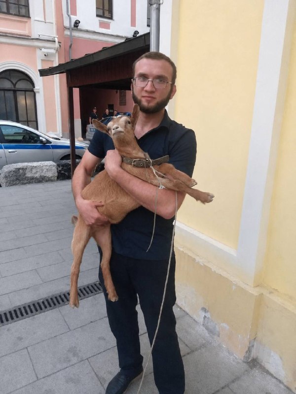 Изображение из поста 